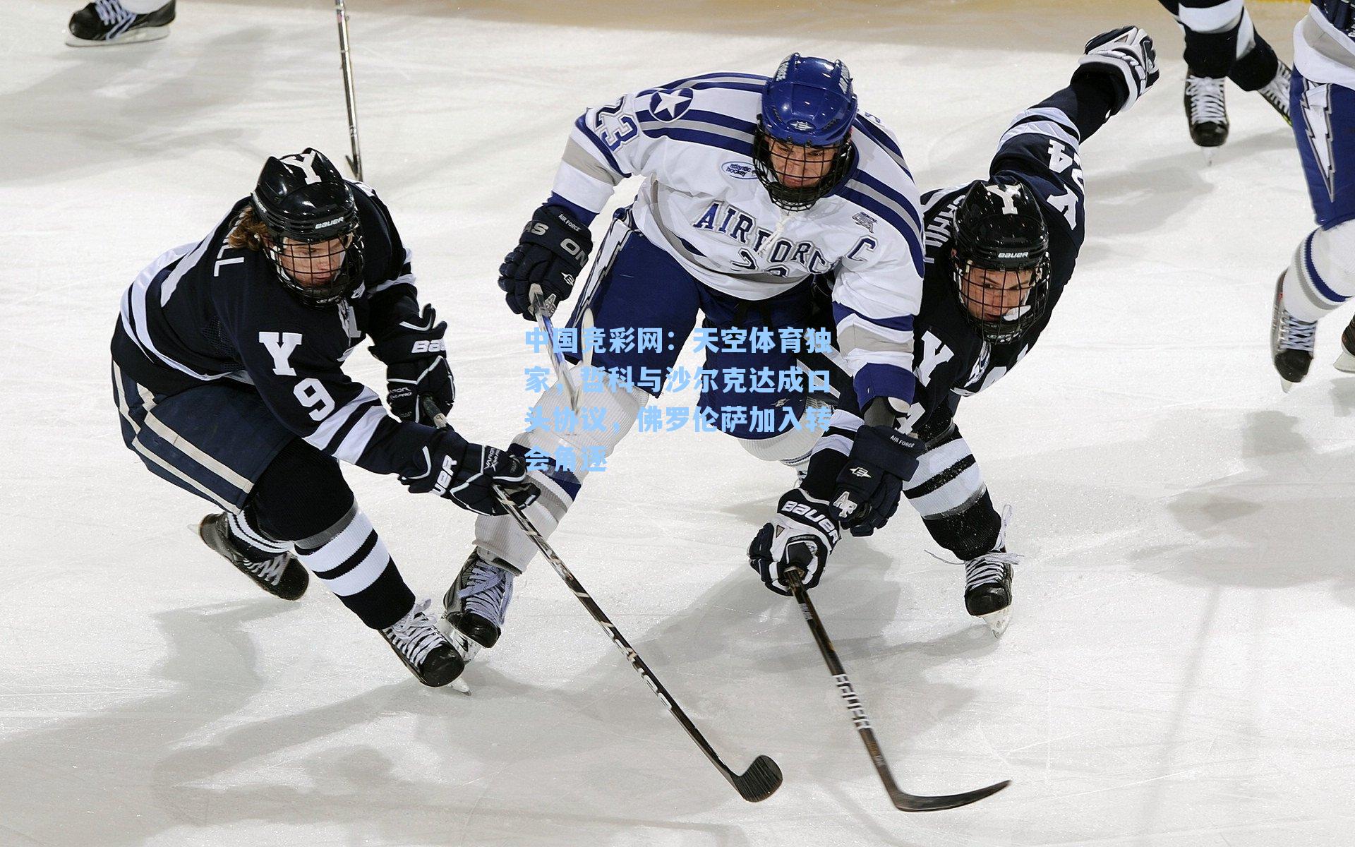 天空体育独家，哲科与沙尔克达成口头协议，佛罗伦萨加入转会角逐